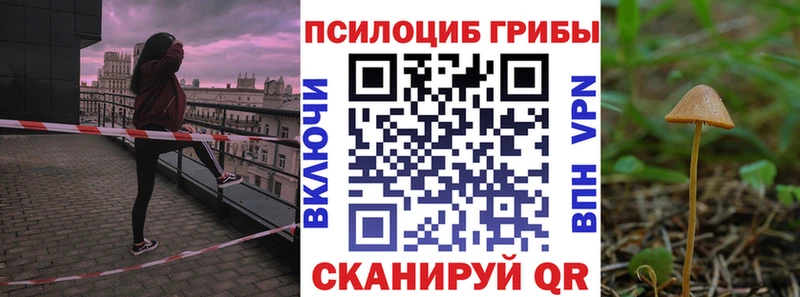 блэк спрут вход  Калининград  Галлюциногенные грибы ЛСД 