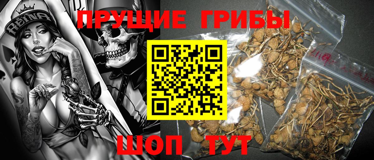 Галлюциногенные грибы Psilocybine cubensis  Вход с VPN  Калининград 