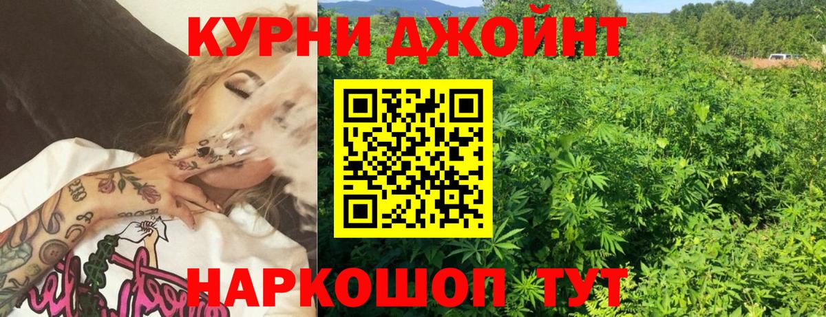 Альфа ПВП Калининград